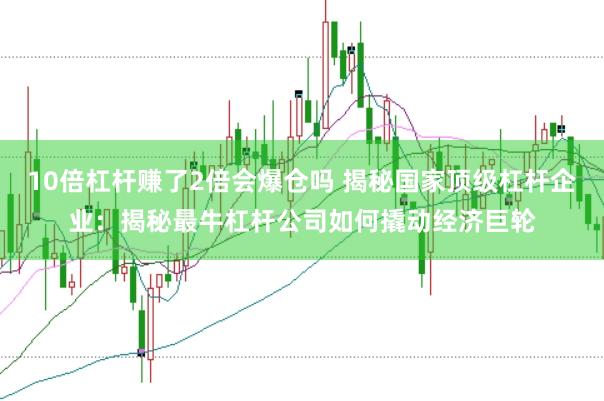 10倍杠杆赚了2倍会爆仓吗 揭秘国家顶级杠杆企业：揭秘最牛杠杆公司如何撬动经济巨轮