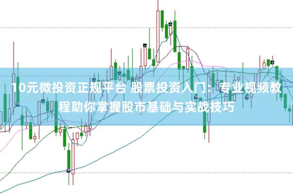 10元微投资正规平台 股票投资入门:专业视频教程助你掌握股市基础与实战技巧
