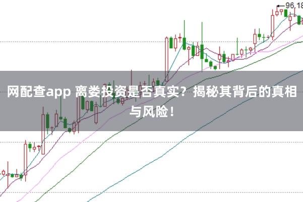 网配查app 离娄投资是否真实？揭秘其背后的真相与风险！