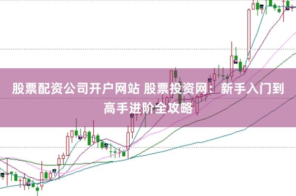 股票配资公司开户网站 股票投资网：新手入门到高手进阶全攻略