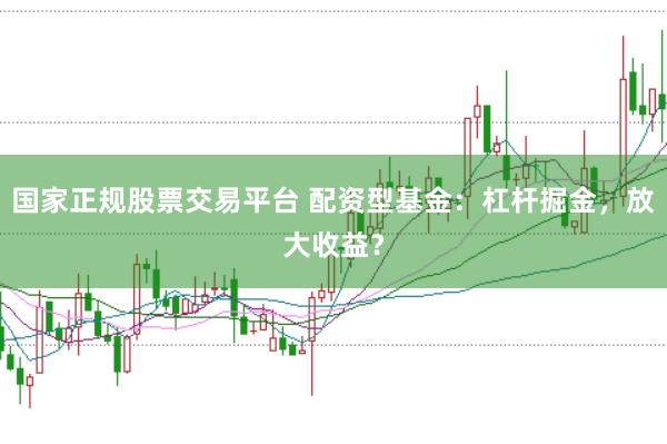 国家正规股票交易平台 配资型基金：杠杆掘金，放大收益？