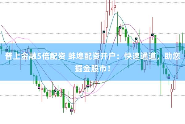 普上金融5倍配资 蚌埠配资开户：快速通道，助您掘金股市！