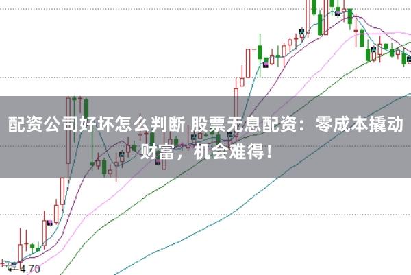 配资公司好坏怎么判断 股票无息配资：零成本撬动财富，机会难得！