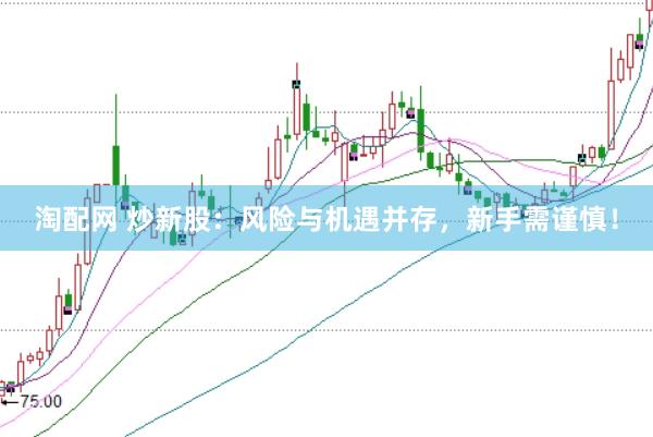 淘配网 炒新股：风险与机遇并存，新手需谨慎！