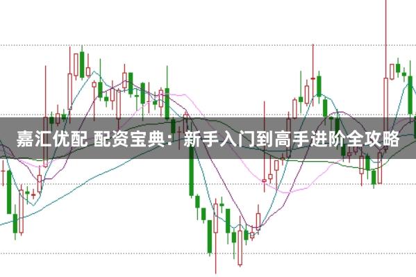 嘉汇优配 配资宝典：新手入门到高手进阶全攻略