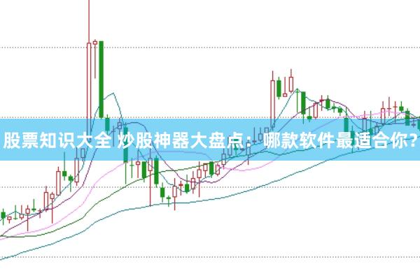 股票知识大全 炒股神器大盘点：哪款软件最适合你？