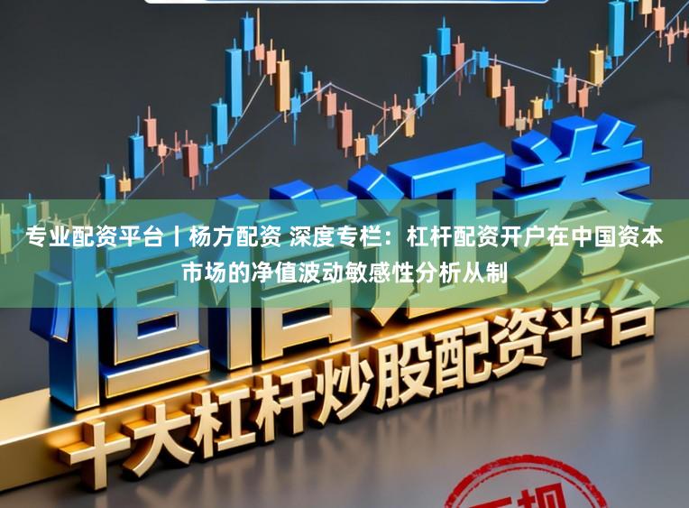 专业配资平台丨杨方配资 深度专栏：杠杆配资开户在中国资本市场的净值波动敏感性分析从制