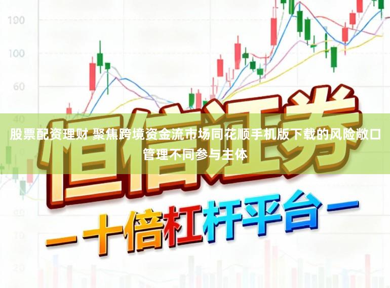 股票配资理财 聚焦跨境资金流市场同花顺手机版下载的风险敞口管理不同参与主体